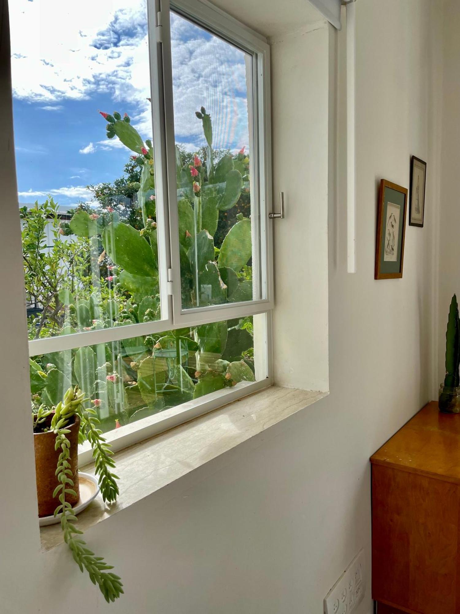 Villa בקתות האס ואטינגר Geva Carmel Esterno foto